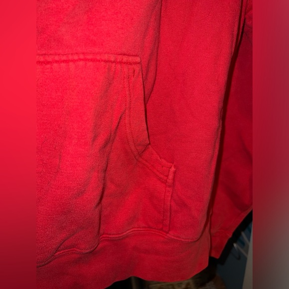 Winners Circle Dale Earnhardt Jr. Hoodie - Picture 4 of 8